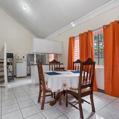 Shaw Park Gem Apt 12D Ocho Rios Zewnętrze zdjęcie