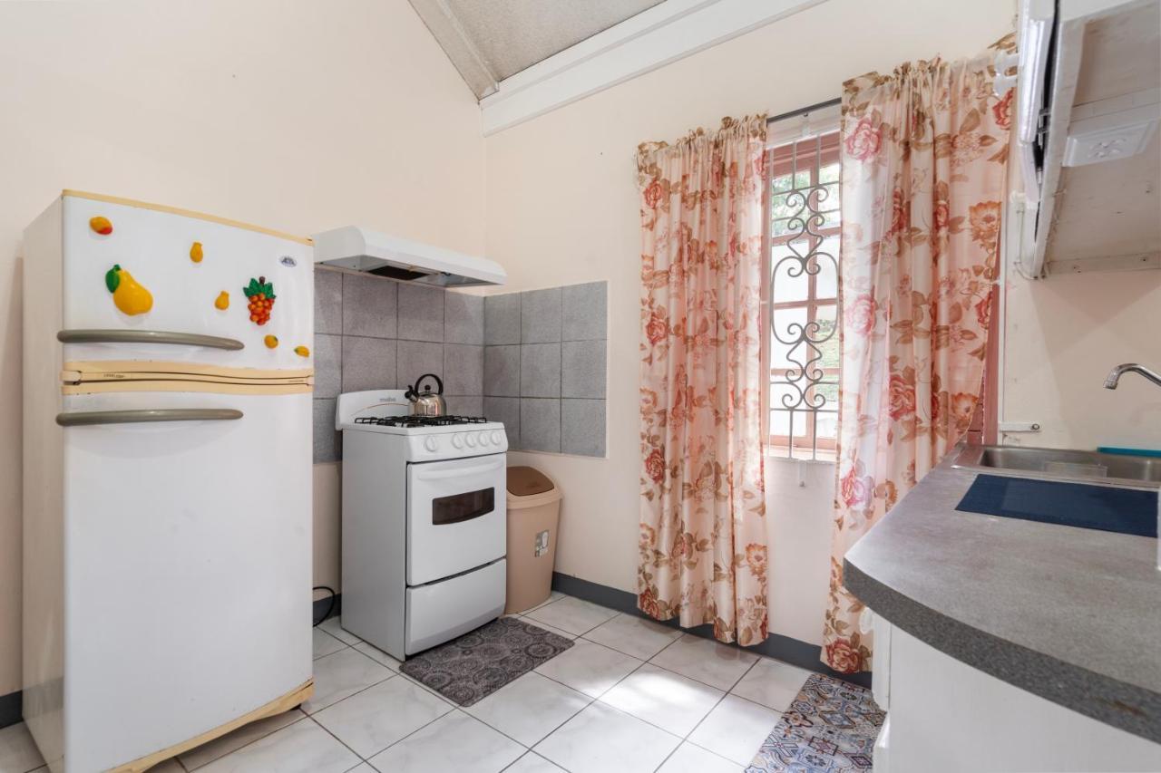 Shaw Park Gem Apt 12D Ocho Rios Zewnętrze zdjęcie